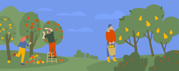 快乐的人们采摘苹果和梨。矢量图图片下载