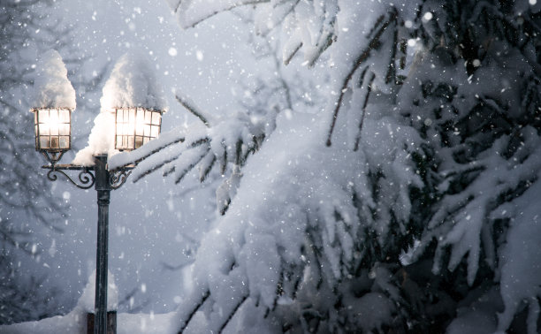 山松林里的路灯图片下载