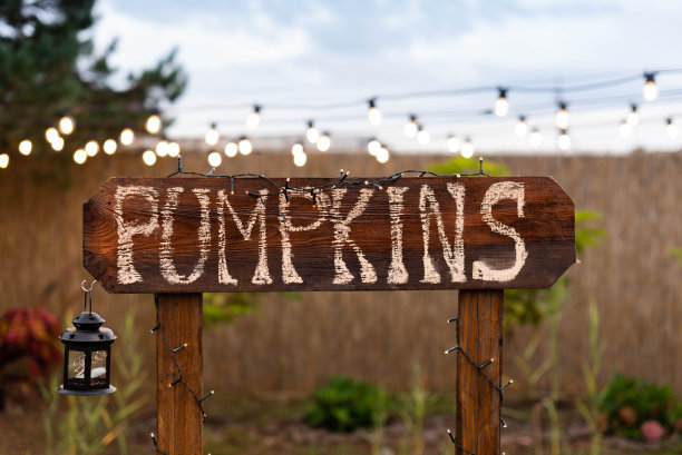 集市上出售秋收的木制招牌图片下载