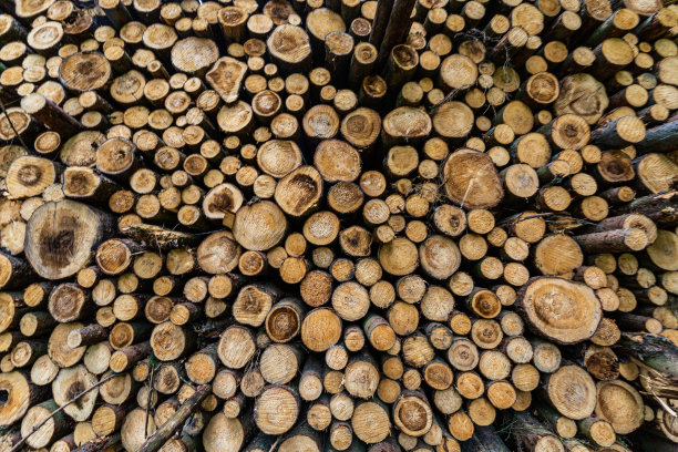 原木干桩，伐木木材森林木材工业。图片下载