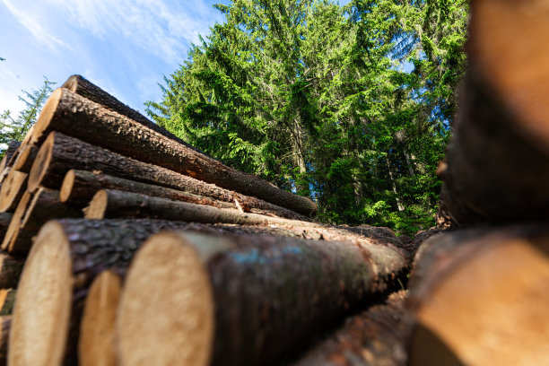 原木干桩，伐木木材森林木材工业。图片下载