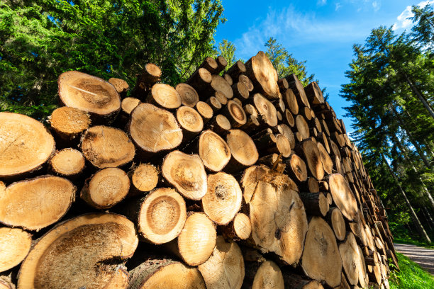 原木干桩，伐木木材森林木材工业。图片下载