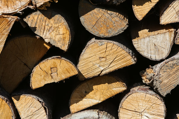 原木干桩，伐木木材森林木材工业。图片下载