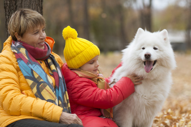 奶奶和小孙女在秋天的公园里遛狗图片下载