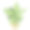 Calathea在锅上白色孤立的背景。室内盆栽植物。盆栽盆栽。手绘平面矢量插图。图片下载