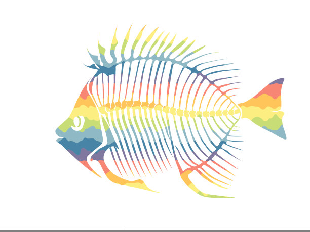矢量插图与彩虹鱼骨架孤立在白色背景上。图片下载