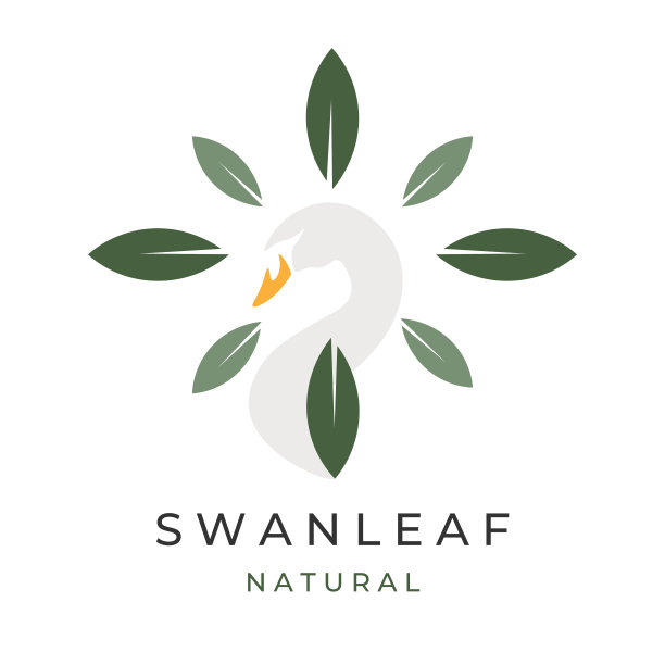 自然天鹅矢量插图与树叶图片下载