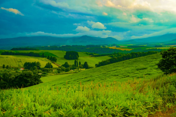 在北海道的草地上看日落图片下载