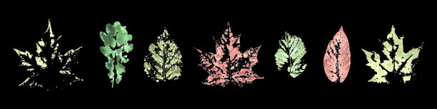 秋季水彩画集缤纷叶迹图片下载