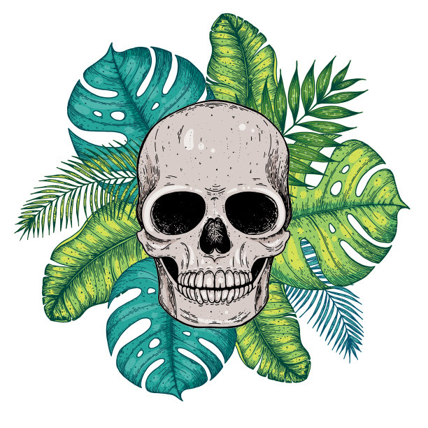 头骨和棕榈叶手绘插图。纹身的打印。头骨和棕榈叶草图。印花图片下载