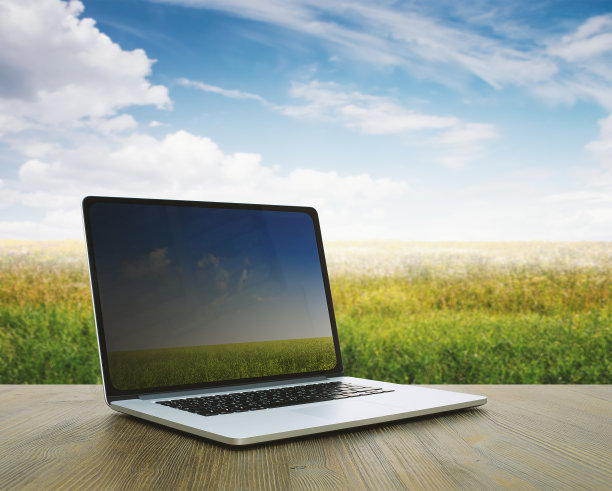 PC上的表，字段图片下载