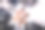 迪拜商务团队图片下载