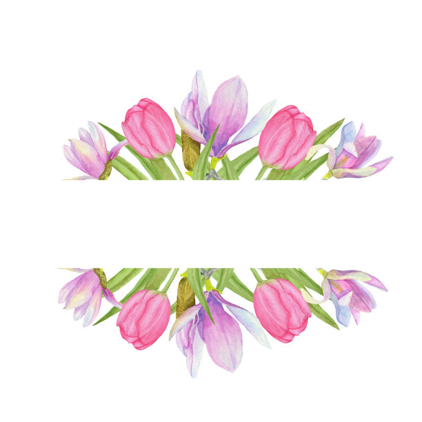 水彩框架的玉兰花和郁金香花。图片下载