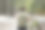 背着巨大的绿色旅游背包的年轻人独自走在国家公园里图片下载