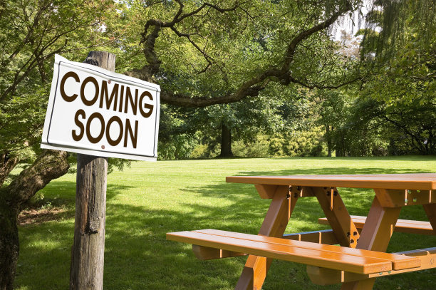 在公园的绿色草地上，新的空松木野餐桌图片下载