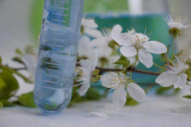 实验室烧瓶上的花朵在明亮的背景图片下载