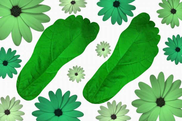 绿色行走环保人的脚图片下载