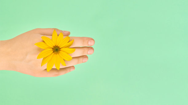 黄色的花作为女人手腕上的结婚戒指珠宝，花在女人手上的绿色背景图片下载