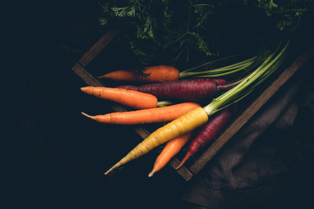 五彩缤纷的彩虹胡萝卜图片下载