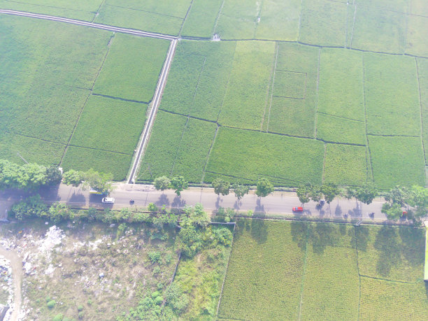 工厂和工业区周围的空中稻田图片下载