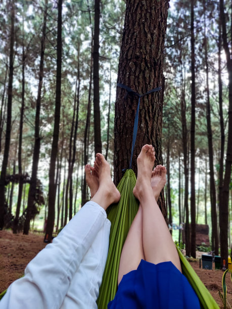 照片中，两名女子的腿躺在一棵树荫下的绿色吊床上图片下载