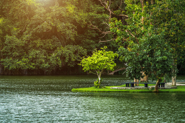 风景湖景在Ang Kaew清迈大学在自然森林山景春天多云的天空背景与白云。图片下载