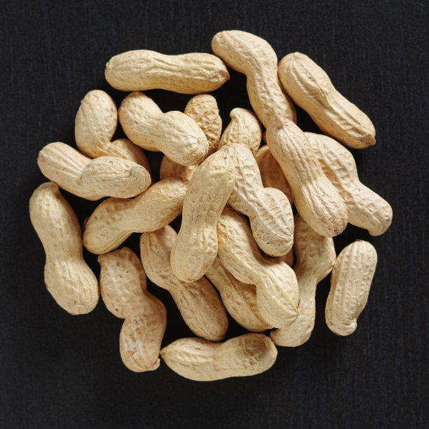 生未剥皮的花生图片下载