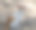 一只可爱的幼年家猫的特写照片，它坐在户外的地上图片下载