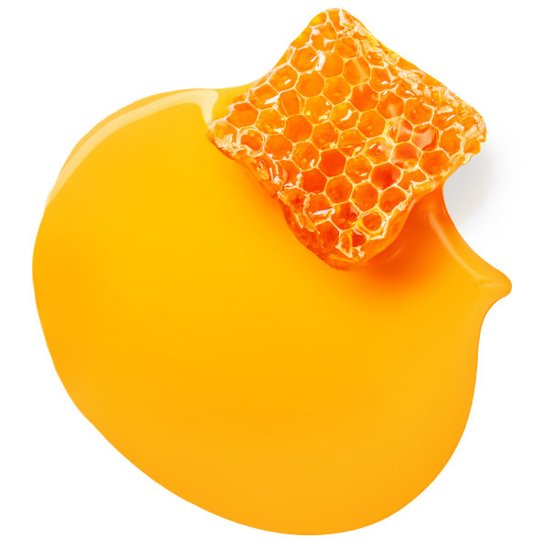 白色背景下的蜂蜜，俯视图。蜂窝状，有流动的甜糖浆。食品的概念。图片下载