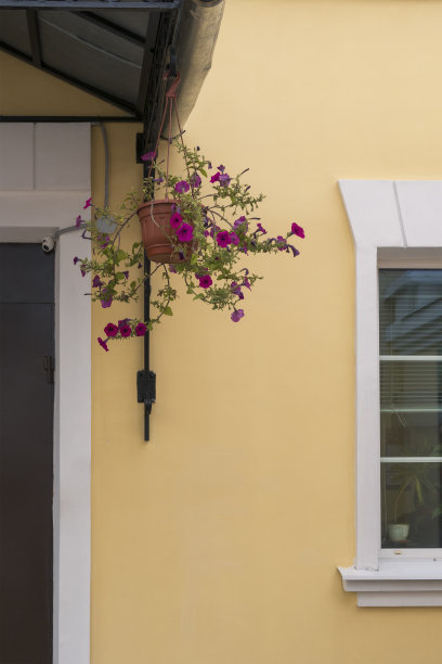门口悬挂的花盆里装着粉红色的矮牵牛花，配有摄像机。黄色建筑墙。图片下载