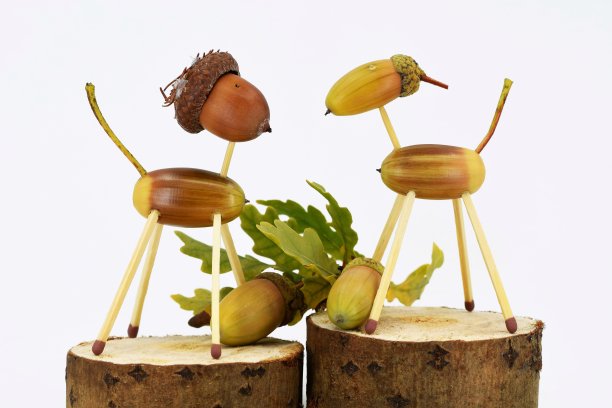 用橡子做成的可爱动物雕像，站在用橡木树枝切割的木平台上图片下载