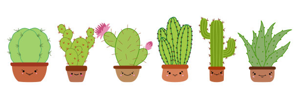 一套可爱的卡通仙人掌。多汁。芦荟。图片下载