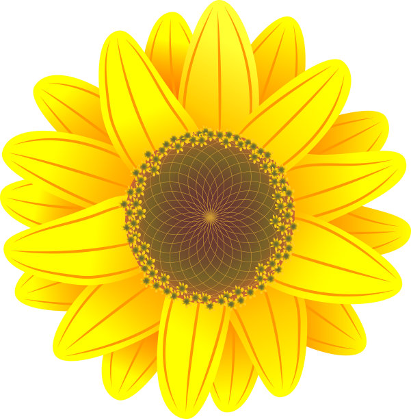 向日葵图片下载
