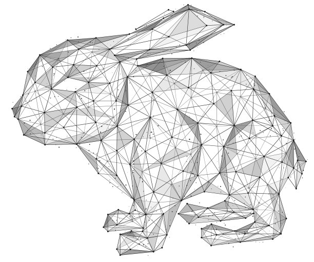 兔子。图片下载