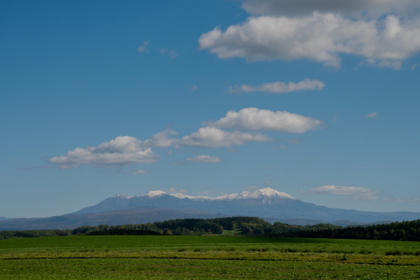 绿色的草地和雪山图片下载