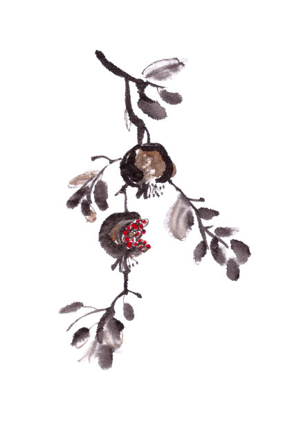 枝上石榴果，宣纸水墨画。图片下载