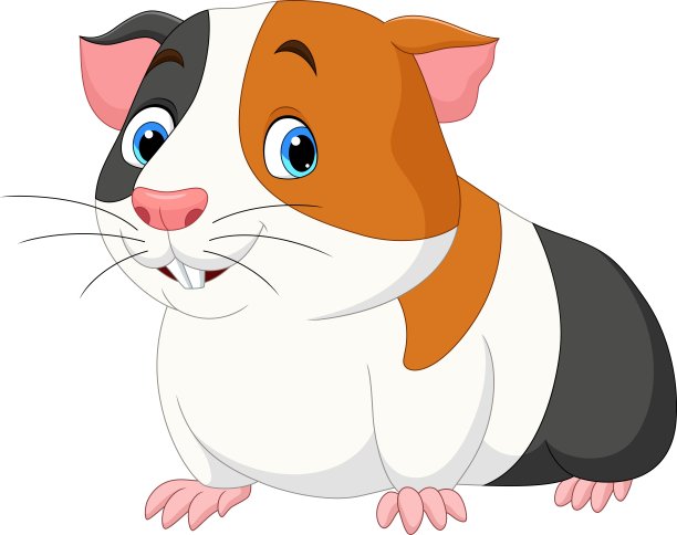 白色背景的卡通可爱豚鼠图片下载