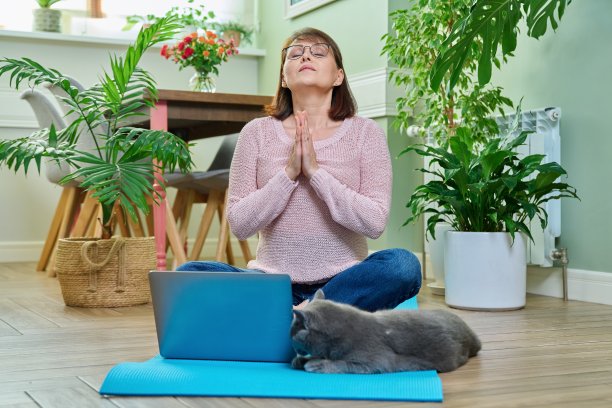 女人坐在家里的瑜伽垫上莲花位与笔记本电脑和猫图片下载