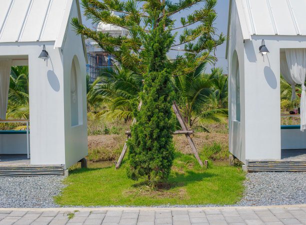 花园装修设有座位、花园小径图片下载