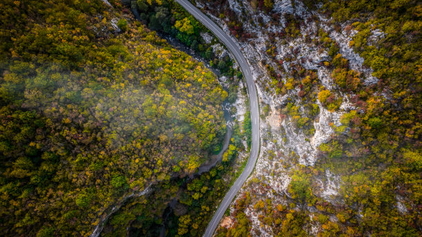 穿过森林的路图片下载