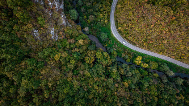 穿过森林的路图片下载
