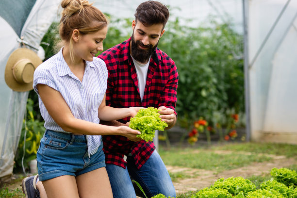 一对幸福的年轻夫妇在温室里工作，种植有机食品。人们对生物食品的健康观念图片下载