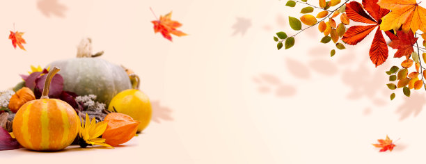 秋天宽大的横幅与橙色的南瓜，秋天的树叶对柔和的粉彩背景。有文字空间的感恩节或季节性销售概念。图片下载