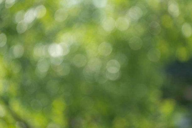 美丽的绿色自然花园模糊的背景，模糊的绿色散景光户外自然花园，图片下载