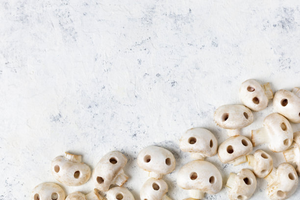 头骨形状的生香菇镶边。可食用的万圣节的概念图片下载