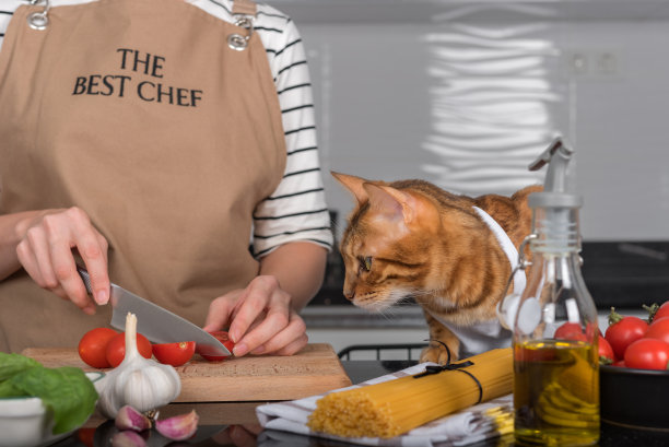 猫和它穿着围裙的主人一起在家里的厨房做饭。图片下载