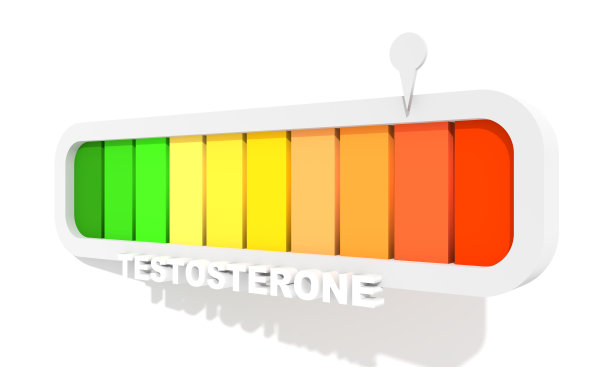 激素睾酮水平测量量表，彩色条和指针。保健概念说明。三维渲染图片下载