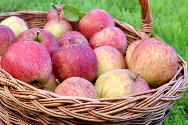篮子里的苹果图片下载