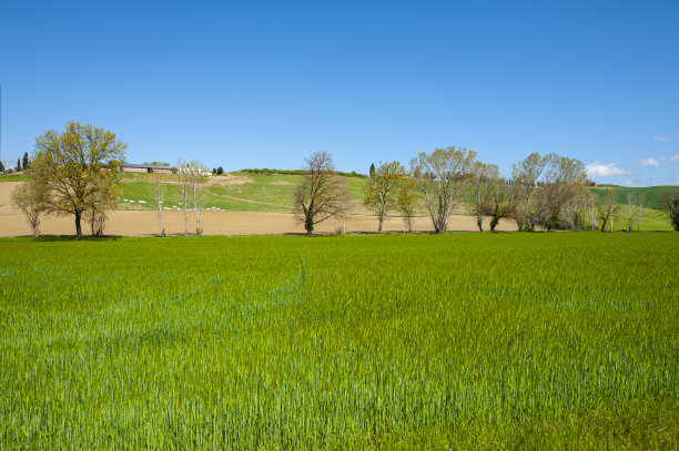 托斯卡纳的青山图片下载