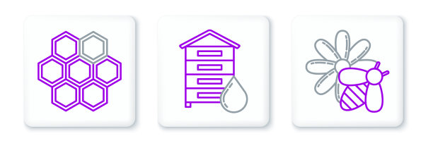 设置线蜂和花的蜂巢和蜂房图片下载